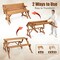 Wooden 2-in-1 Picnic Table Bench with Umbrella Hole, Convertible Design